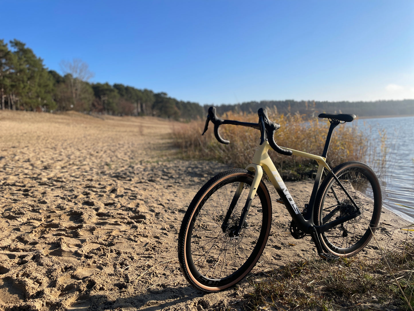 RINOS Gravelcykler Carbon Sandman4.0 Shimano GRX400